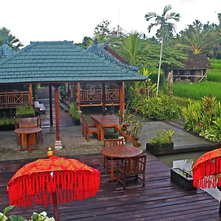 Ti Amo Bali-3